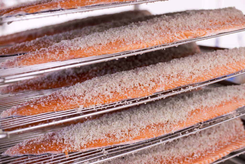 Filets de poisson à chair orangée couverts de gros sel, alignés sur des grilles en inox pendant la salaison