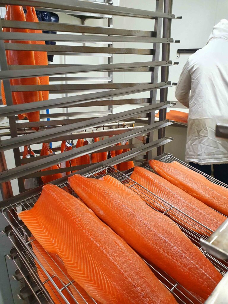 Filets de saumon disposés sur des grilles en inox dans un atelier, d'autres filets suspendus à l'arrière-plan